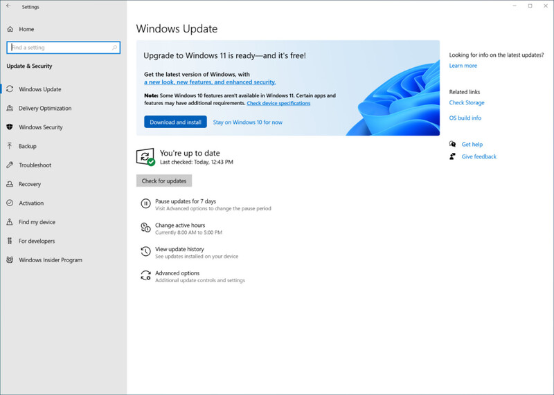 Win 11